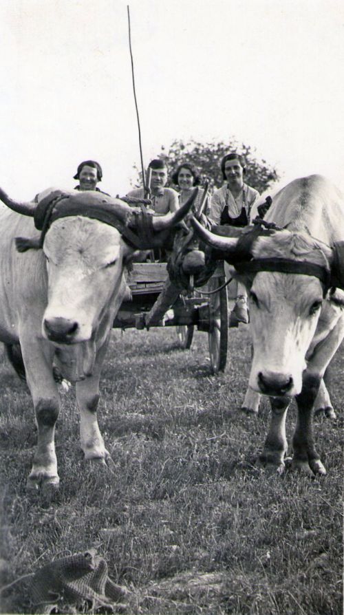 Transport à la campagne en 1935