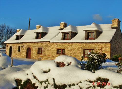 Sous la neige