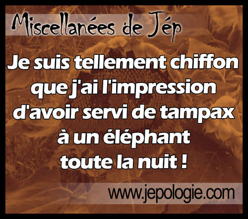 Je suis tellement chiffon que j ai l impression d avoir servi de tampax à un éléphant toute la nuit.jpg