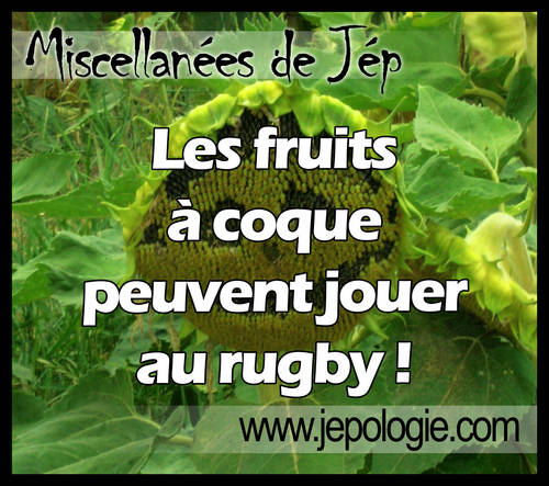 Les fruits à coque peuvent jouer au rugby.jpg