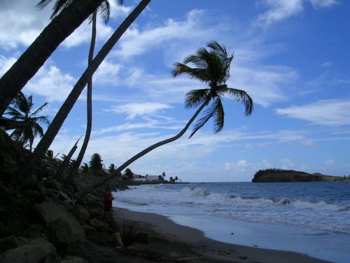 Martinique 4
