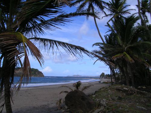 Martinique 5