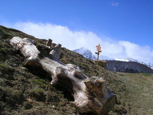 Pyrénées  10