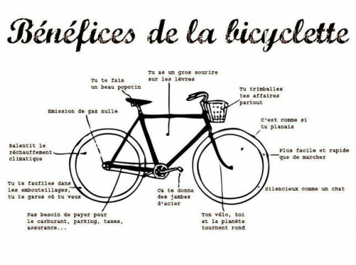 BENEFICE DE LA BICYCLETTE.jpg