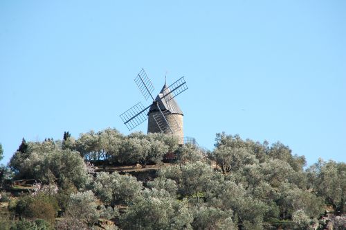 COLLIOURE