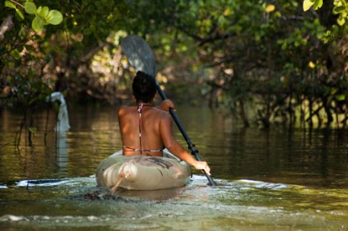 Kayak dans la mangrove