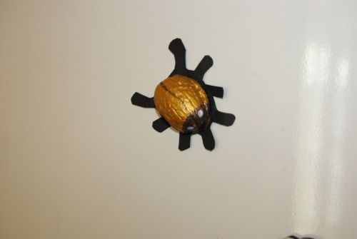 un insecte aimantée... vive les magnets !!!