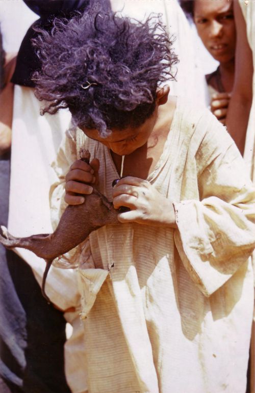 Jeune Dahoussahaq nourrissant un chiot.