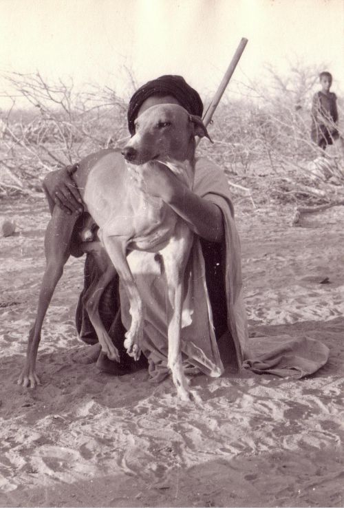 Un chasseur kel tamajeq et son compagnon.