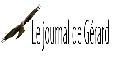 Le journal de Gérard