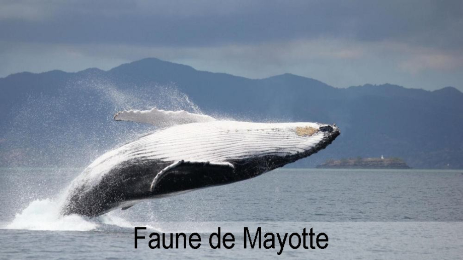 Mayotte