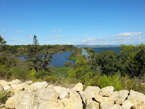 La lagune et l'étang de l'Ayrolle