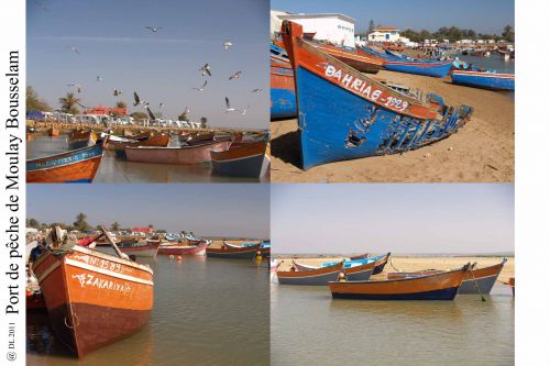 76 Port de pêche de Moulay Bousselam