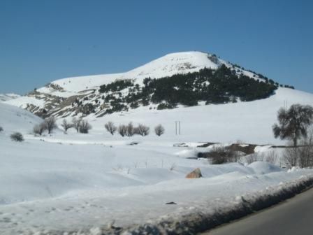 Photos de la neige de février 2012 prises sur la route Sétif - Bougaa.