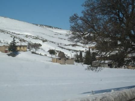 Photos de la neige de février 2012 prises sur la route Sétif - Bougaa.