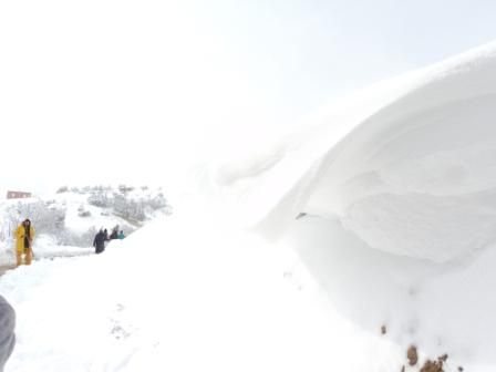 La neige de février 2012 à Draa Kébila