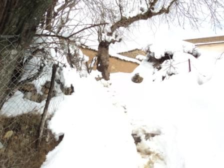 La neige de février 2012 à Bouzelatène