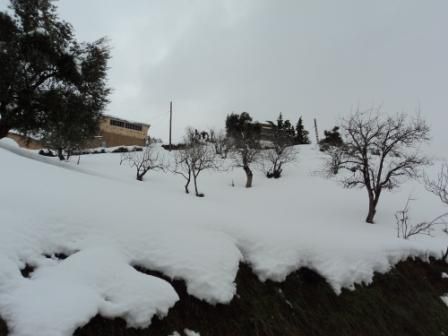 La neige de février 2012 à Bouzelatène