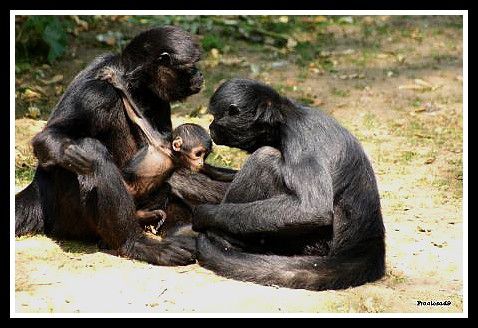 Couple et bébé