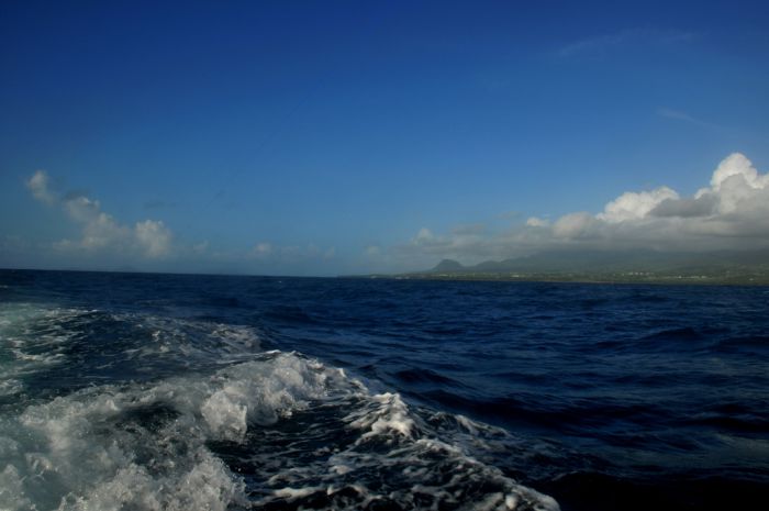 mer des caraïbes  sillage  lever du jour en Guadeloupe