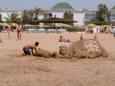 la plage d'Agadir: sable et cocotiers