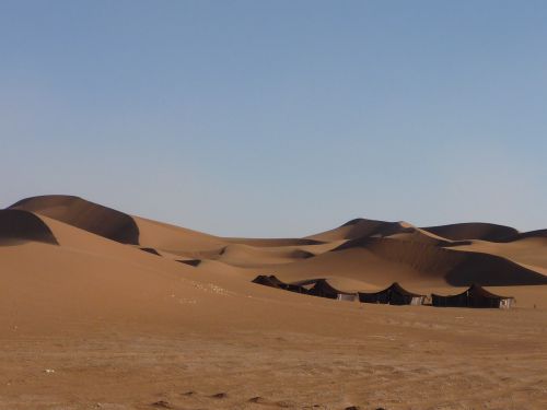 arrivée au camp berbère , dunes de chigaga