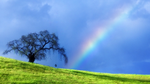 arc_en_ciel_et_arbre.jpg