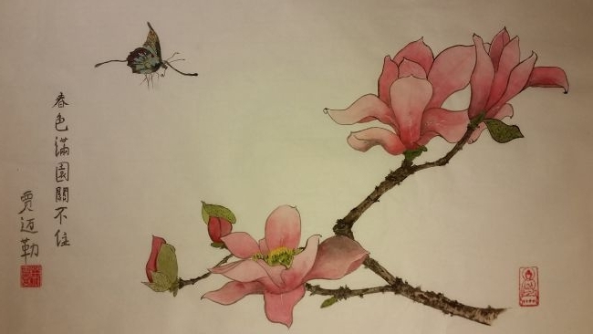 Papillon, fleurs de magnolia