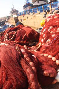 Essaouira - filets de pêche