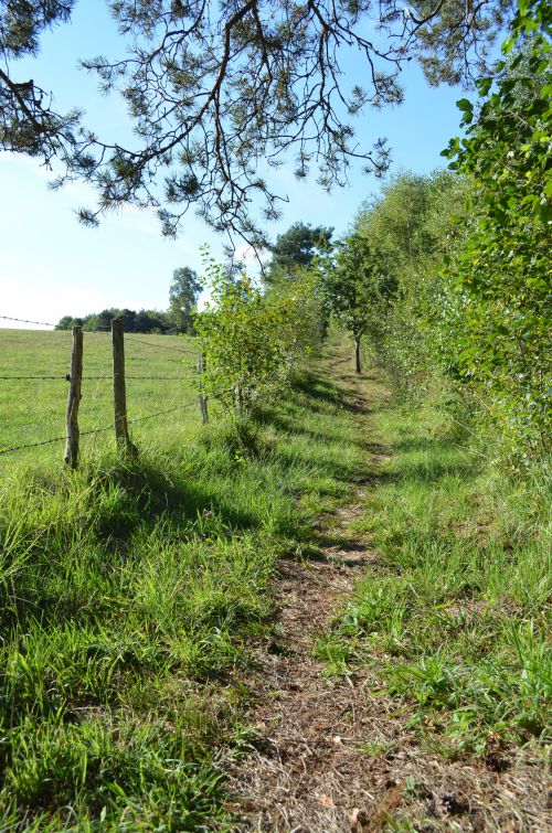 Le Marais du Cassan - Vers St Paul des Landes et Lacapelle Viescamp - Cantal