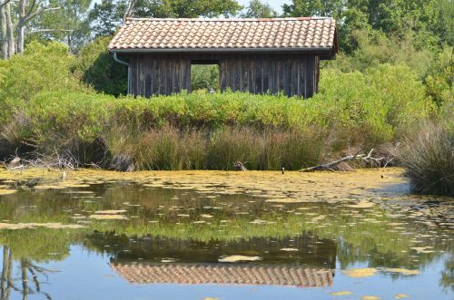 Parc Ornithologique Le Teich près d'Arcachon