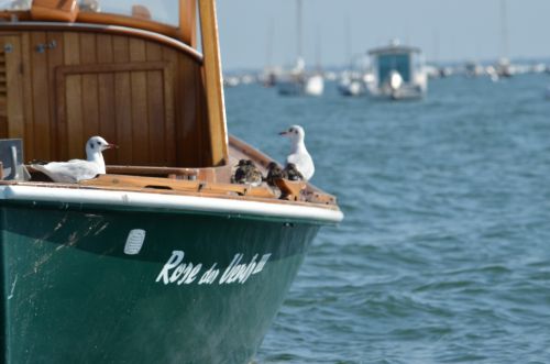 Bassin d'Arcachon