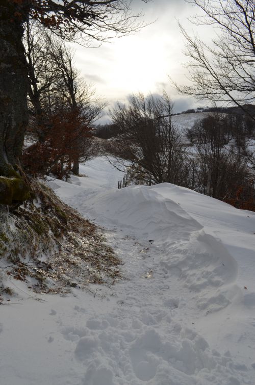 Du Col de Légal au Buron de Cabrespine