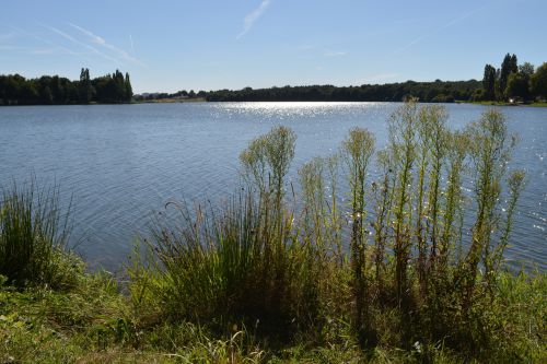 Autour de Moulin Papon, Vendée