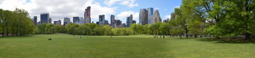 Grande pelouse de Central Parc NYC