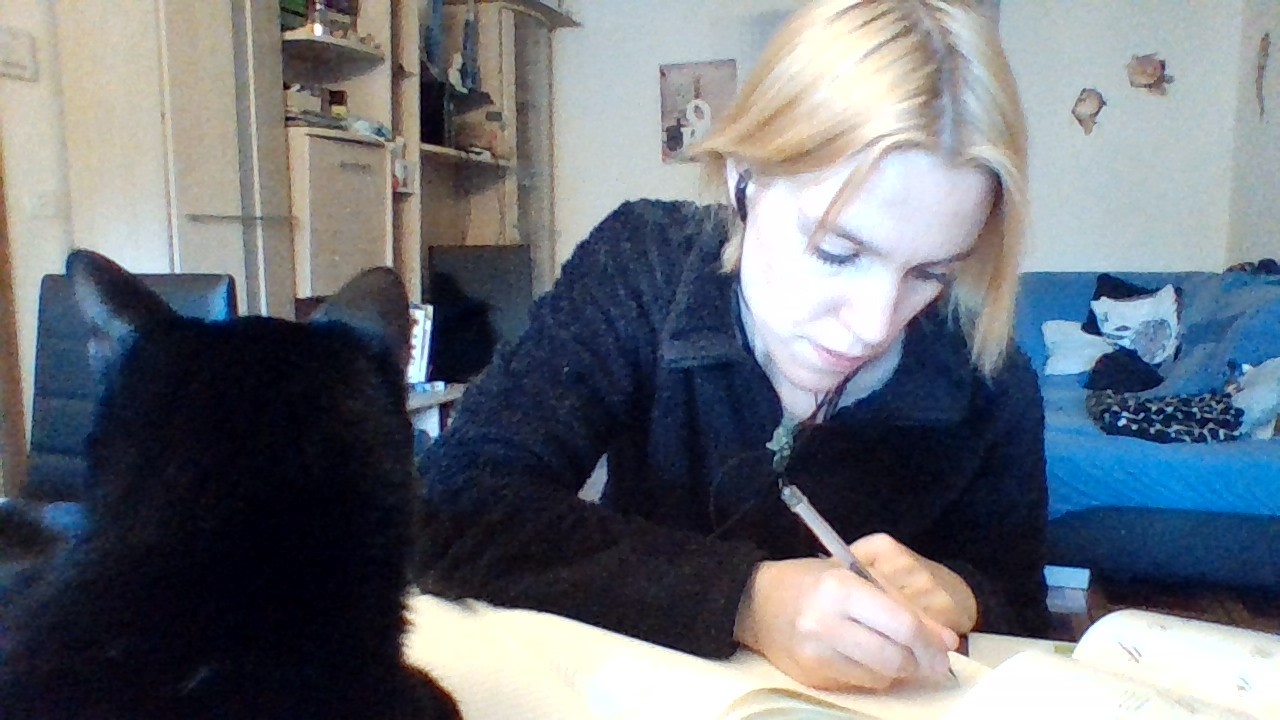 le chat meilleur muse de l'écrivain