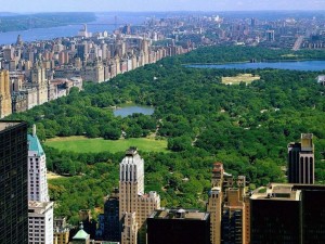 Central-Park-New-York-300x225.jpg