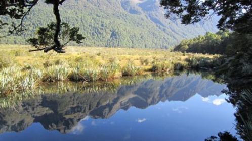 milford-sound-trip-mirror.jpg