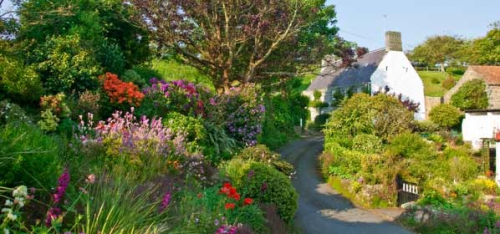 Rural-Guernsey-lane.jpg