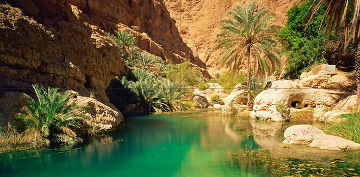 oasis_desert_oman.jpg