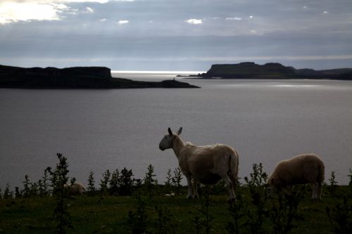 Skye - Ecosse