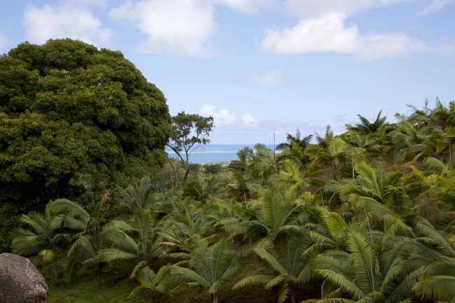 Paysage - Ile Maurice