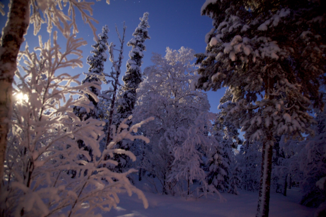 Couleurs d'hiver - Finlande