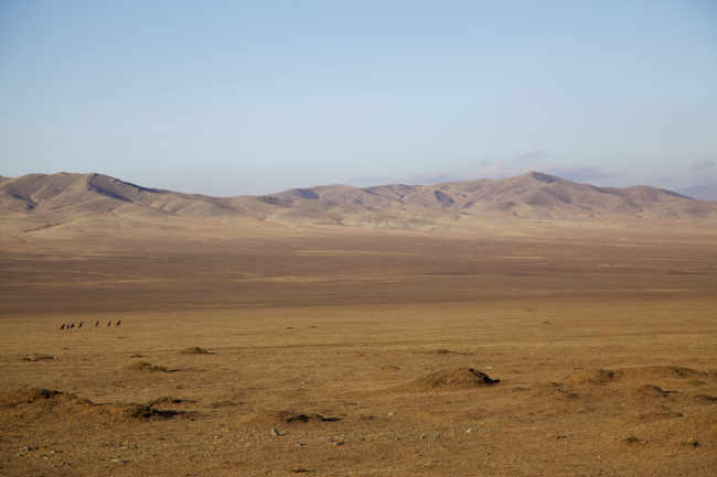 Paysage - Mongolie