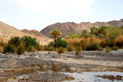 Paysage  Oman