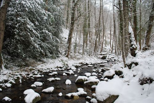 Rivière coule toujours...