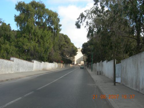 boulevard Palestine