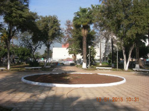 jardin de la mosquée mali