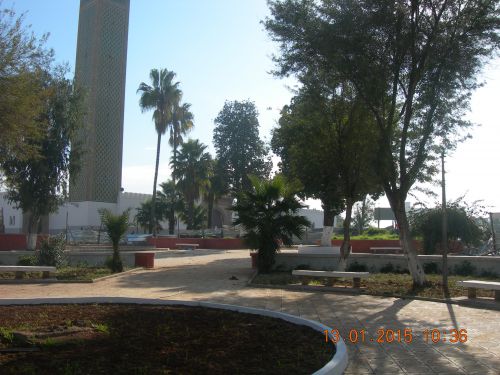 13 janvier 2015 travaux  jardin mosquée mali