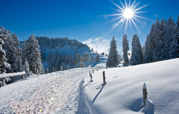 Paysage neige soleil 141256.jpg